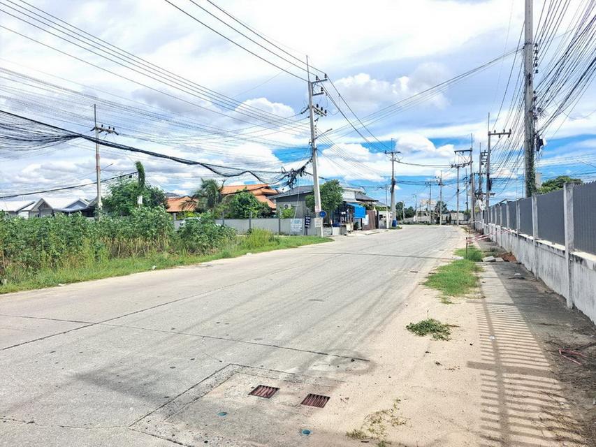 ขายที่ดินบางละมุง ตะเคียนเตี้ย-โรงโป๊ะ ติดถนน ใกล้หมู่บ้านกลางสวน ชลบุรี