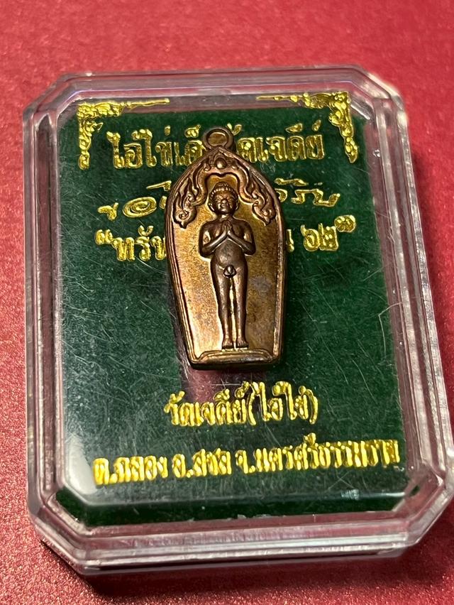 ไอ้ไข่ วัดเจดีย์ เหรียญปรกใบมะขาม รุ่น "ทรัพย์เหลือล้น ๖๒"