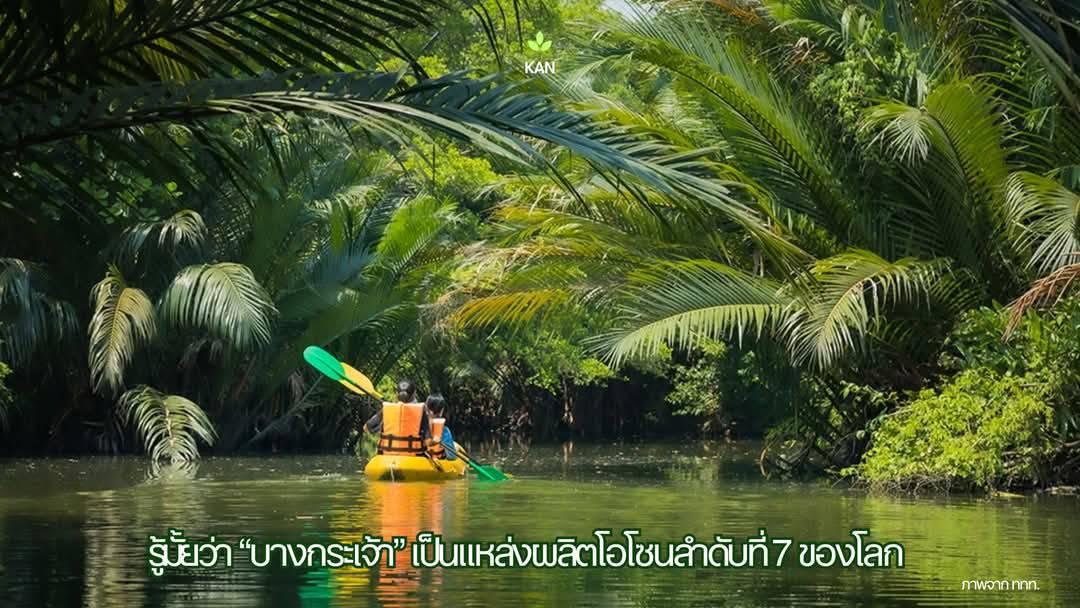 บ้านเรือนไทยพร้อมที่ดิน 8
