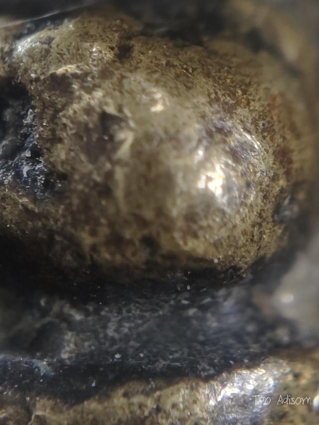 พระหลวงพ่อเงินวัดบางคลาน 12