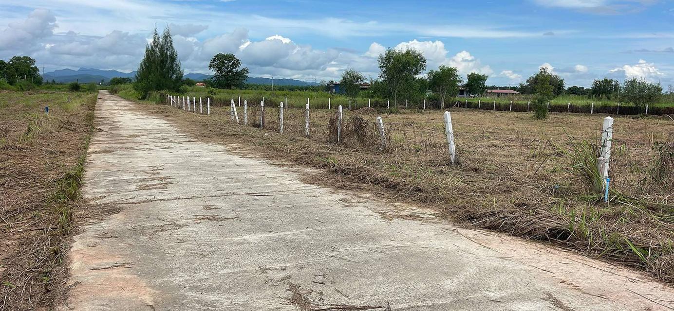 ที่ดิน ชะอำ เพชรบุรี ขนาด 100 ตรวา ผ่อนได้ 6500x60 15