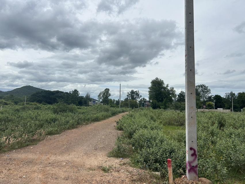 ที่ดิน Valley View แก่งกระจาน  เพชรบุรี สด ผ่อนได้ 8