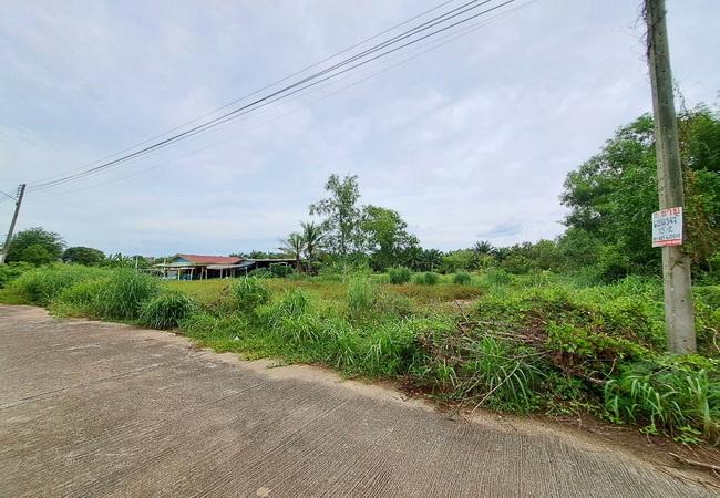 ขายที่ดิน คลอง 13 หมู่บ้านสมหวังการ์เด้น เนื้อที่ 75.70 ตร.ว. ถนนคอนกรีต น้ำไฟเข้าถึง 5