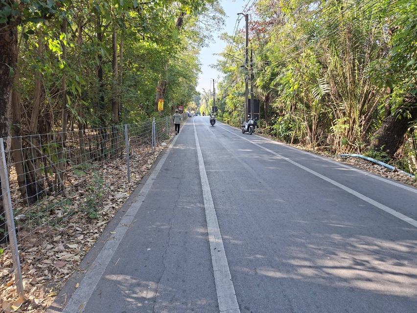 ขายที่ดินบางกะเจ้า 300 ตร.ว. ใกล้สวนศรีนครเขื่อนขันธ์ หน้าติดถนน หลังติดคลอง 14