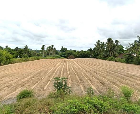 ขายที่ดินศรีราชาชลบุรี ขายที่ดินศรีราชาขนาด 11 ไร่ ผังสีเหลืองEAST WATER หุบบอน และใกล้นิคมอุตสาหกรรม เหมราช บ่อวิน และ 3