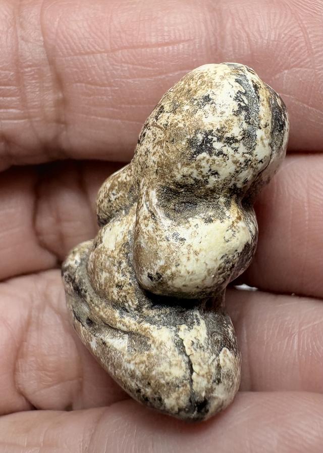 พระปิดตาลอยองค์ เนื้อผงไม่ทราบที่ องค์ละ800 9