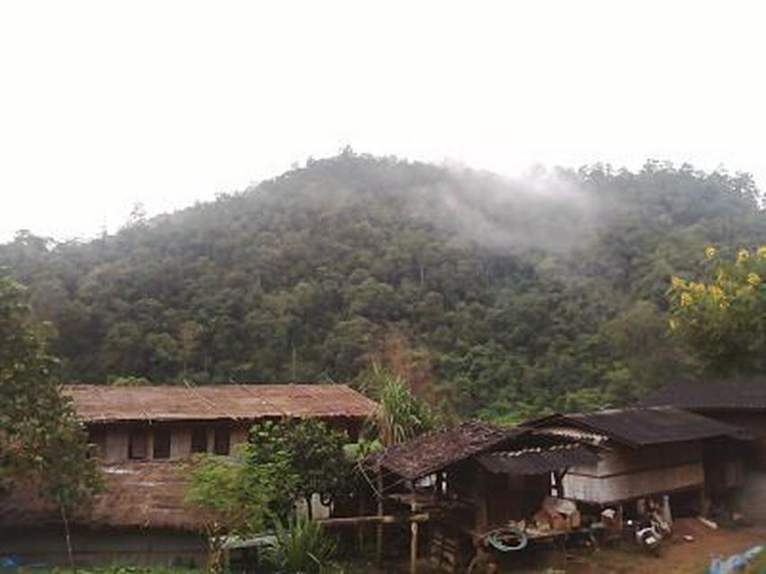 Lease Home Stay on the Hill Top Mountain  1
