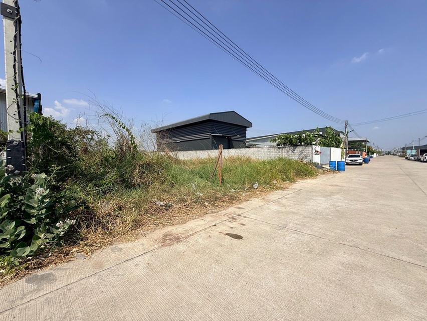 ขายด่วนที่ดิน 180 ตรว ติดถนนสาธารณะ ถมแล้ว  ซอยเปาร์อิน 16 อ.ลาดหลุมแก้ว จ.ปทุมธานี 5