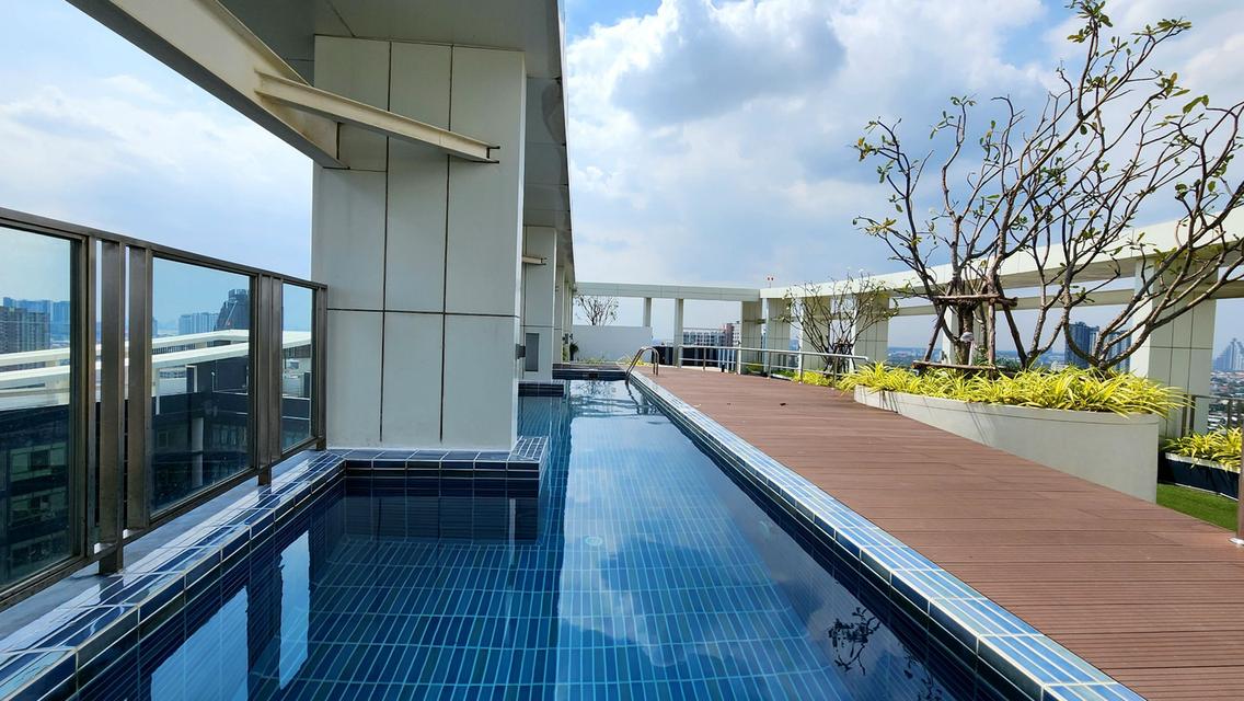 ายหรือให้เช่า คอนโด เมโทรสกาย ประชาชื่น (Metro.Sky Prachachuen) ขนาด 26 ตร.ม. ของโครงการ Property Perfect อาคารตึก C ชั้น 9 วิวสระว่ายน้ำและสวน 13