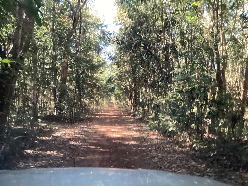 ขายที่ดินการเกษตร59ไร่ อ.เมืองนครพนม 6