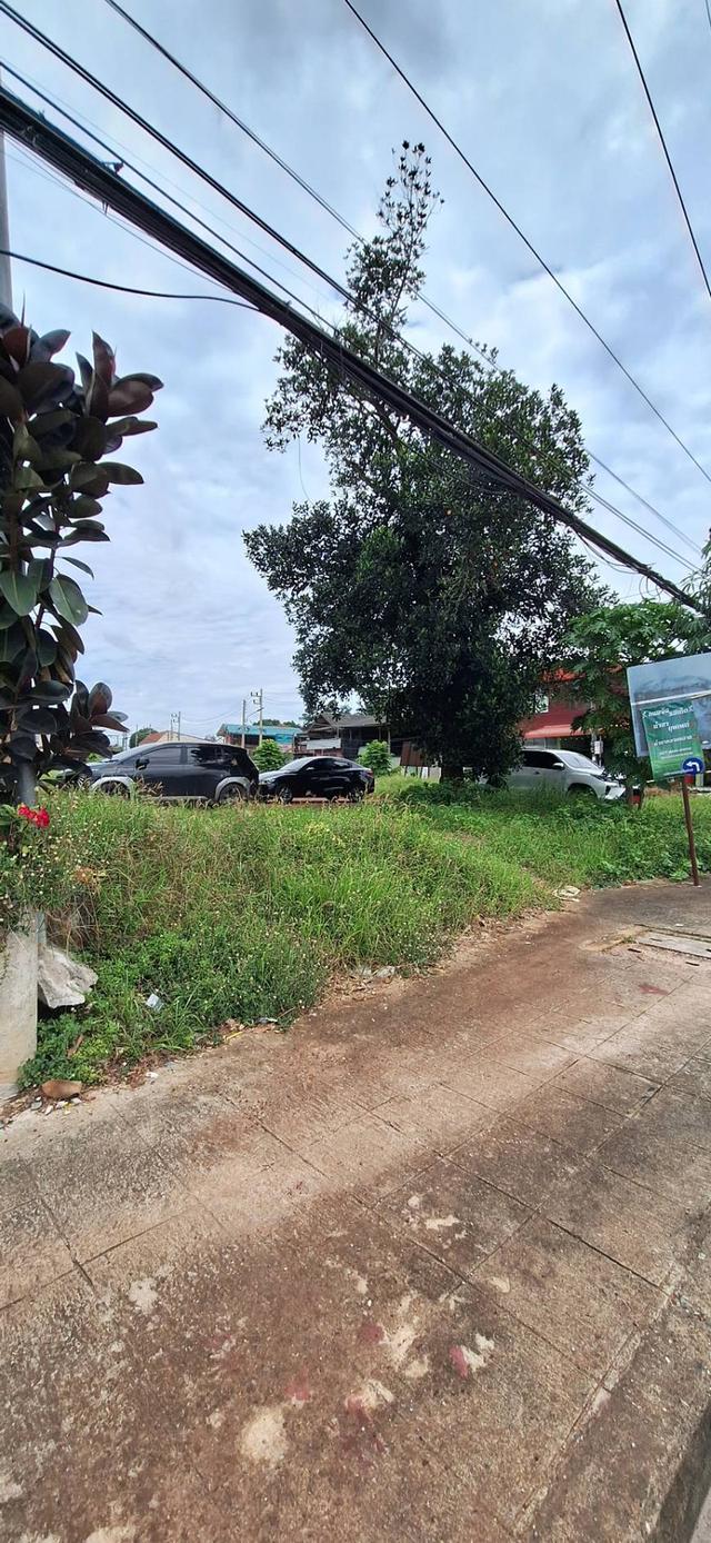 ที่ดินเปล่าให้เช่า 10