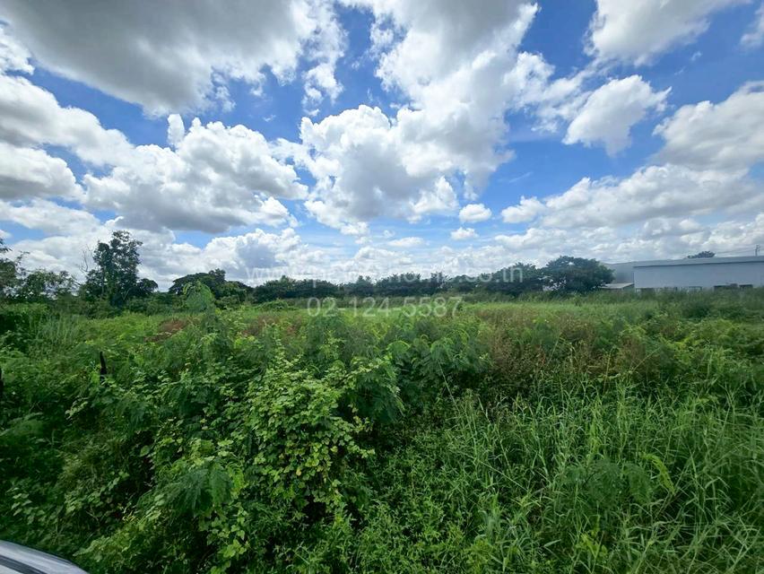 ที่ดิน ในโครงการหมู่บ้าน เค.ซี.การ์เด้นโฮม ซอยนิมิตรใหม่ 40 แยก 40 ใกล้โรงเรียนศศิภา ถนนนิมิตใหม่ แขวงสามวาตะวันตก  เขตคลองสามวา กรุงเทพมหานคร  6