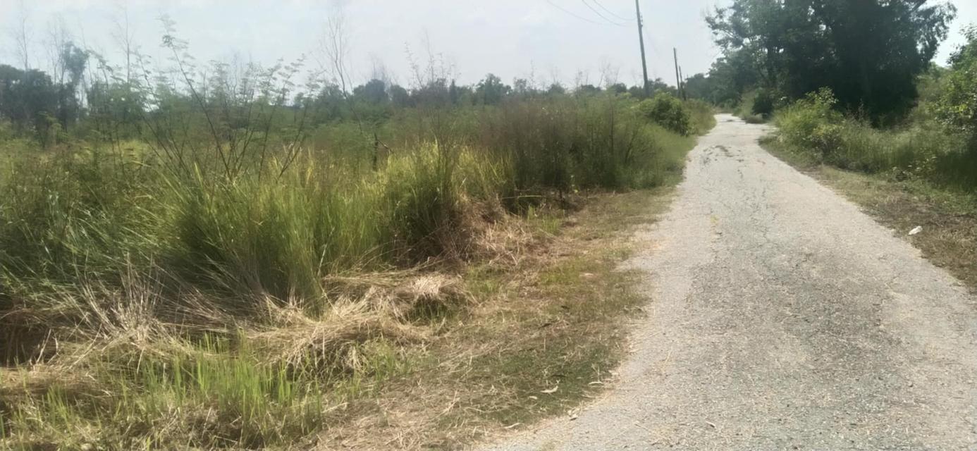 ขายที่ดินโฉนดครุฑแดง 4 ไร่ 7