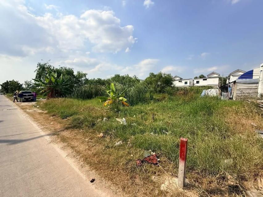 Vายที่ดินทำเลดี 2 ไร่ ติดถนนคอนกรีต ซอยบงกช 14 คลองสองปทุมธานี 2