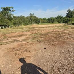 ที่ดินแบ่งขายต.นาฝายชัยภูมิตามงบ 8