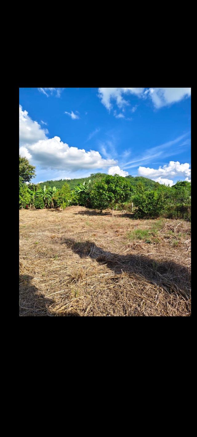 ขายที่ดินวิวเขาธรรมชาติ เนื้อที่2ไร่ 3