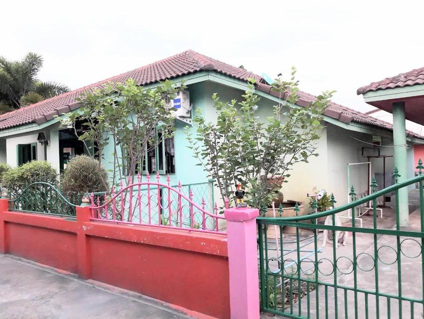 บ้านพร้อมห้องเช่าในตัว 4