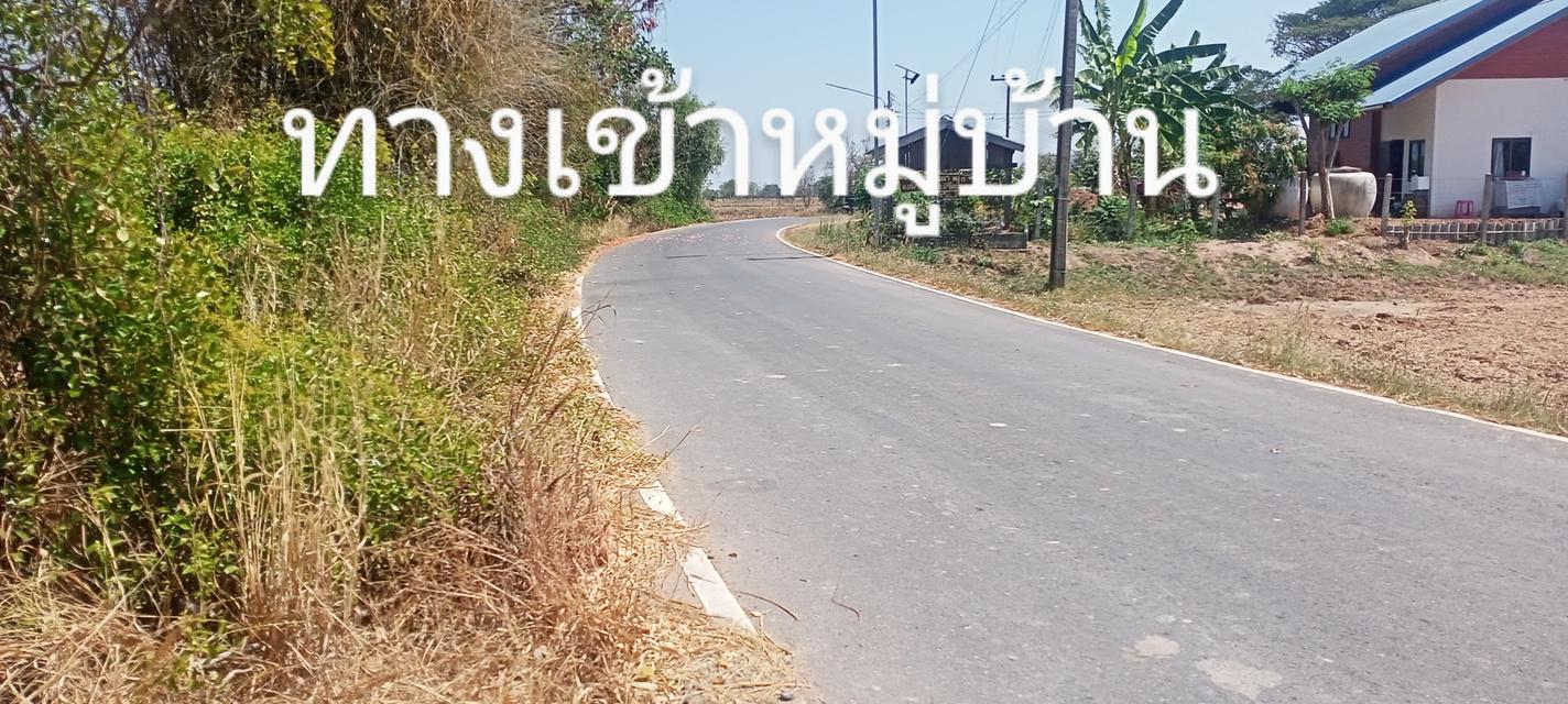 ที่ดิน ทำการเกษตร ปลูกบ้านอาศัย หรือทำร้านพานิชย์ 1