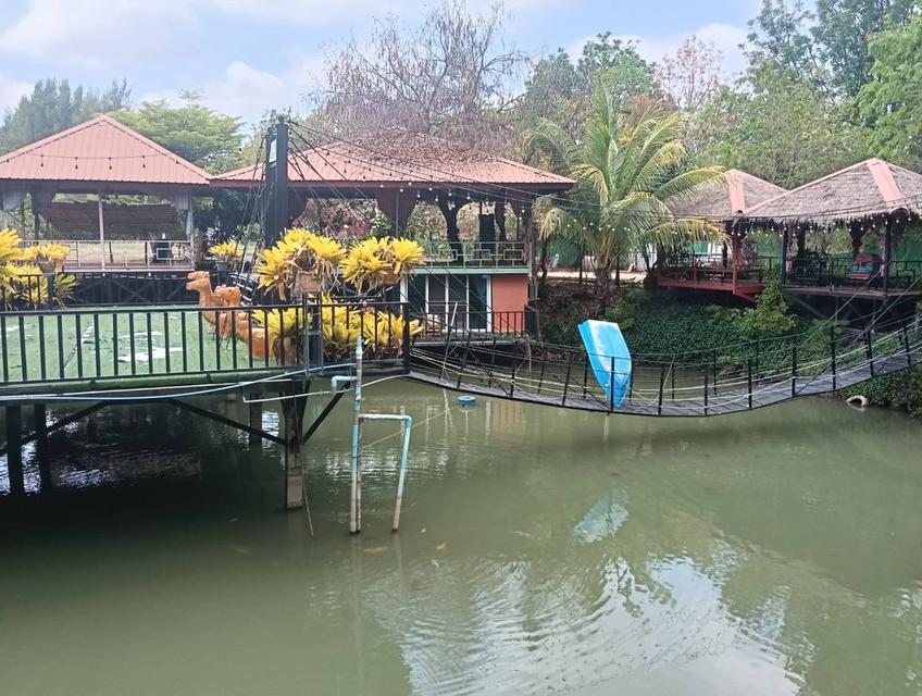 ขายที่ดินพร้อมร้านอาหาร 16