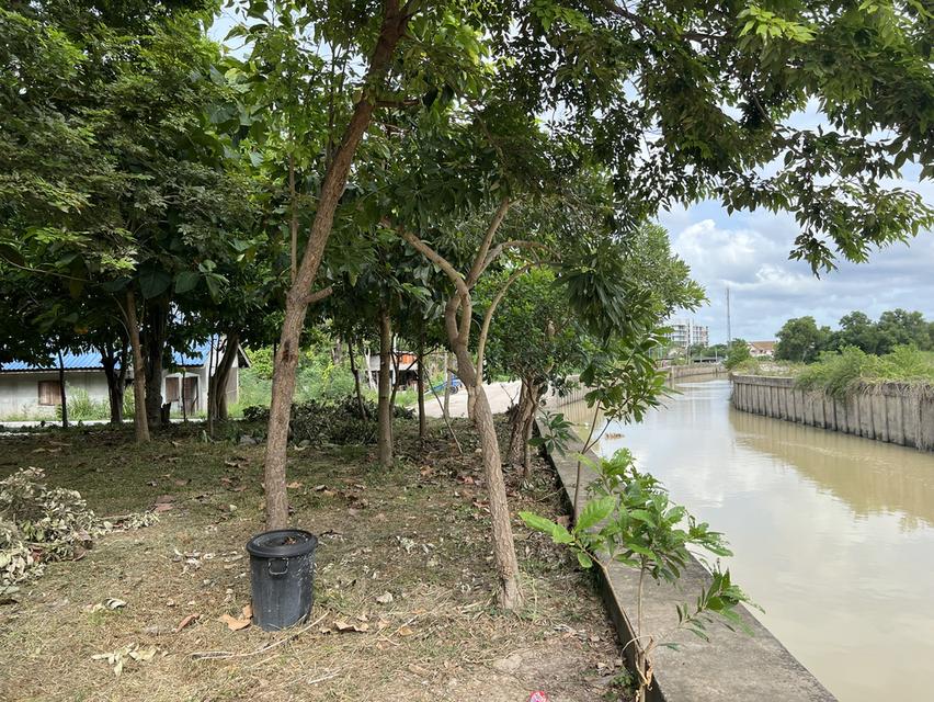 ขายที่ดิน 9