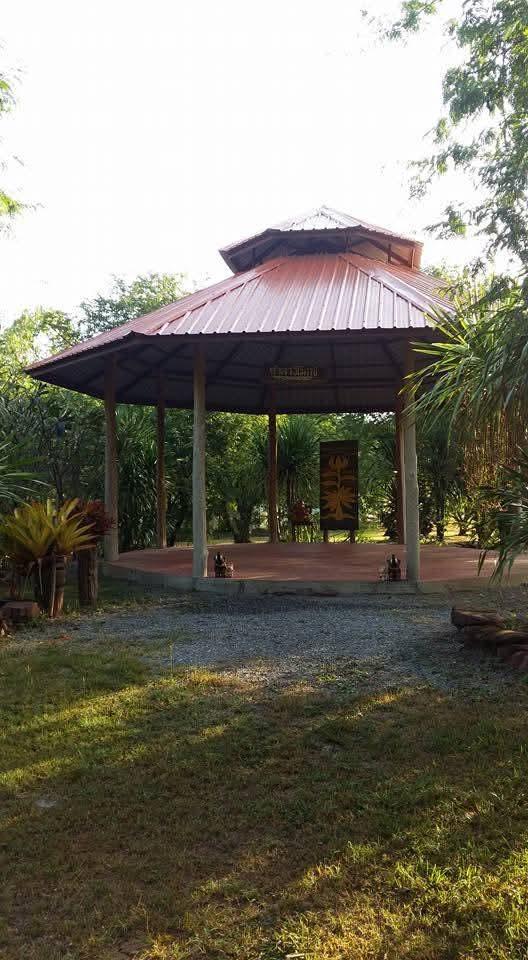 ขายที่ดินวิวภูเขาติดถนน 7 ไร่ 83 ตารางวา บ้านห้วยไผ่ ต.ห้วยส้ม อ.ภูกระดึง จ.เลย  6