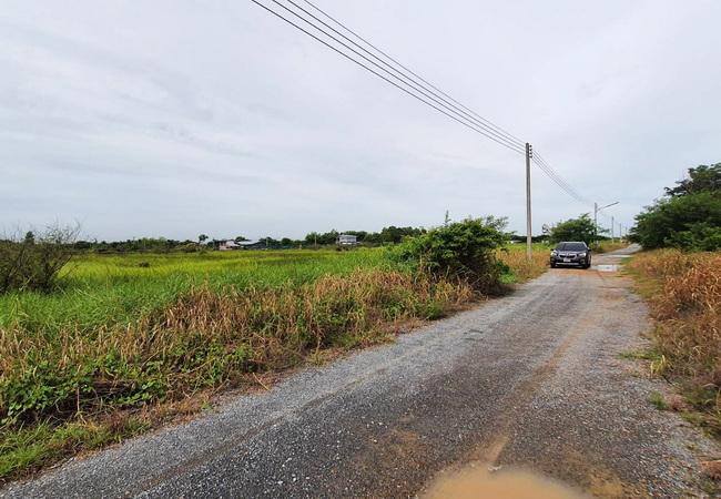 ขายที่ดิน หนองเสือคลอง 10 ถนนรังสิต-นครนายก อำเภอหนองเสือ ปทุมธานี 4