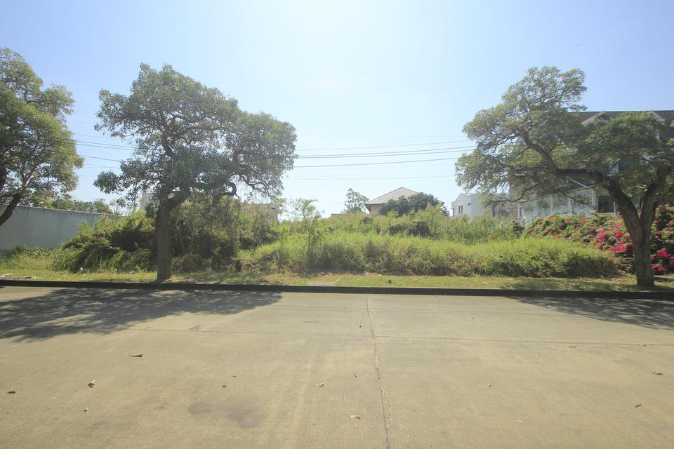 ที่ดินถนนบรมราชชนนีปิ่นเกล้านครชัยศรี ที่ดินสร้างบ้าน396.8ตารางวา หมู่บ้านวริยาวิลล์ หมู่บ้านติดถนนใหญ่ ซอยแรกของโครงการ ใกล้มหิดลศาลายา 12