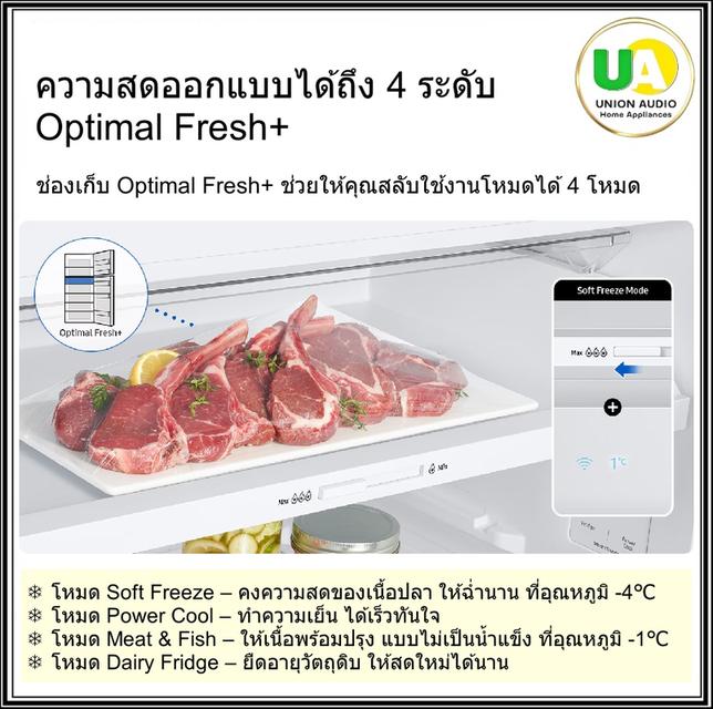 SAMSUNG ตู้เย็น 2ประตู RT47CG6644S9ST พร้อมด้วย AI Energy Mode 16.4 คิว