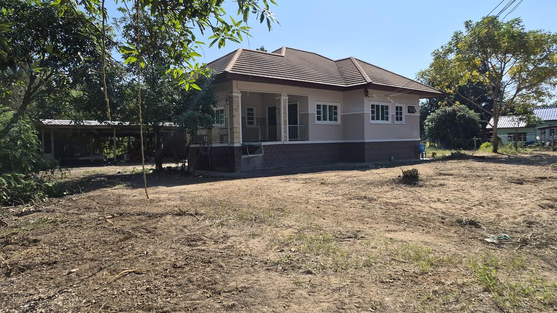 🔥🏡 บ้านพร้อมที่ดินผืนใหญ่ ใกล้ถนนใหญ่ ราคาโคตรคุ้ม! 🏡🔥 💥 เพียง 2.5 ล้าน ได้ทั้งบ้าน + ที่ดินกว่า 2 ไร่! 📣 โอกาสนี้ไม่ได้มีบ่อย! ใครกำลังหาบ้านพื 1