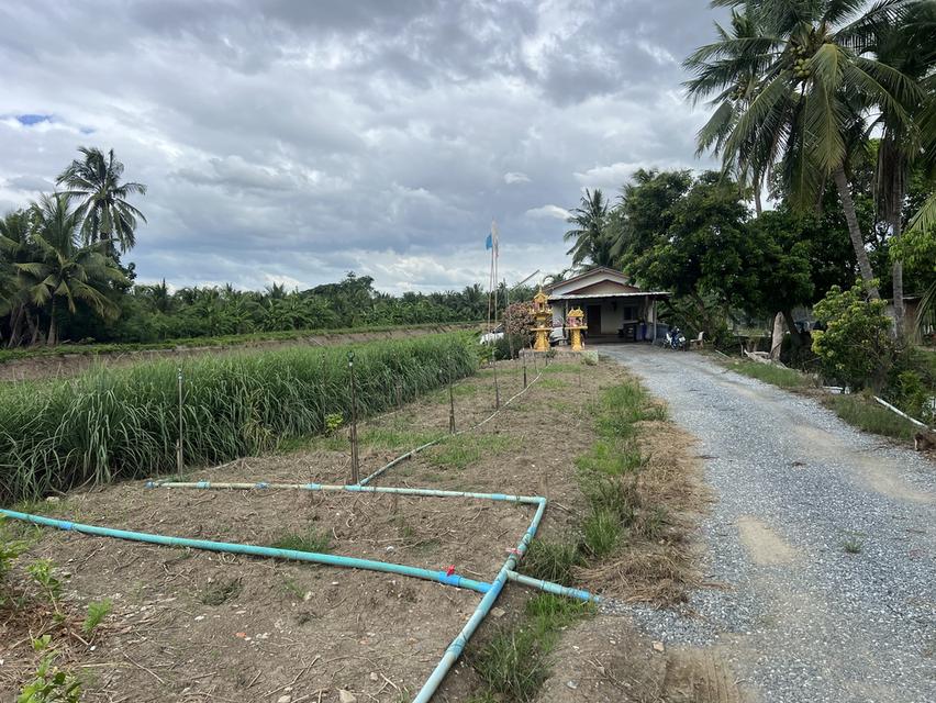 ขายที่ดิน 4 ไร่ นครชัยศรี 1