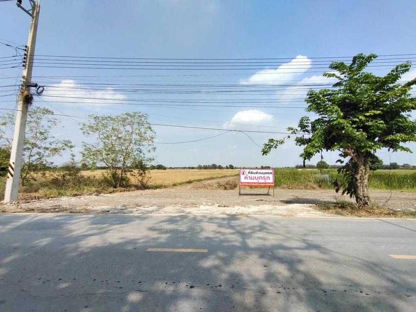 ขายที่ดิน เสนา อยุธยา 7 ไร่ 3 งาน 11.2 ตร.วา 2