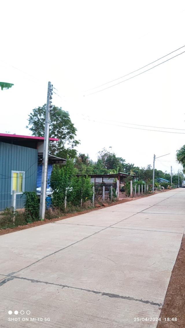บ้านสวนและที่ดินเปล่า 4