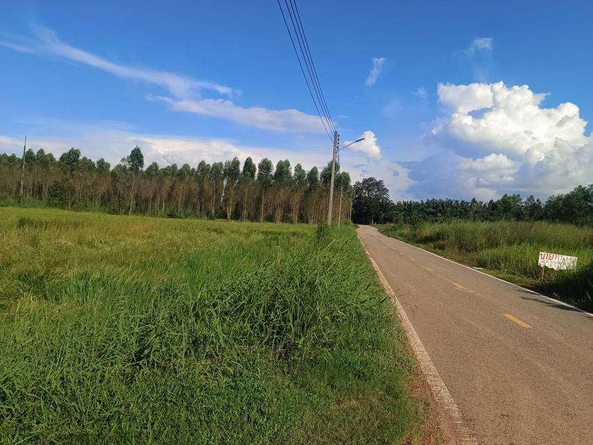 ขายที่ดินนนทรี 2 ไร่ ติดถนนลาดยางใกล้ถนนสุวรรณศร33-4กม. อ.กบินทร์บุรี ปราจีนบุรี 8