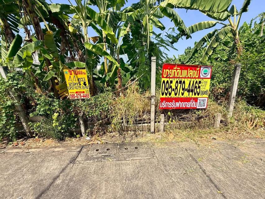 Vายด่วนที่ดิน 44 ตารางวาติดถนนคอนกรีตสาธารณะ แปลงมุม ชอย พระยาสุเรนทร์ 25 แขวงบางชั้นกรุงเทพมหานคร 1