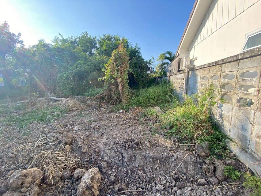 ขายด่วนที่ดินทำเลดี 96 ตรว ติดถนนคอนกรีตสาธารณะ ถมแล้ว ซ.เทพประทาน 1 อ.ไทรน้อย จ.นนทบุรี 9