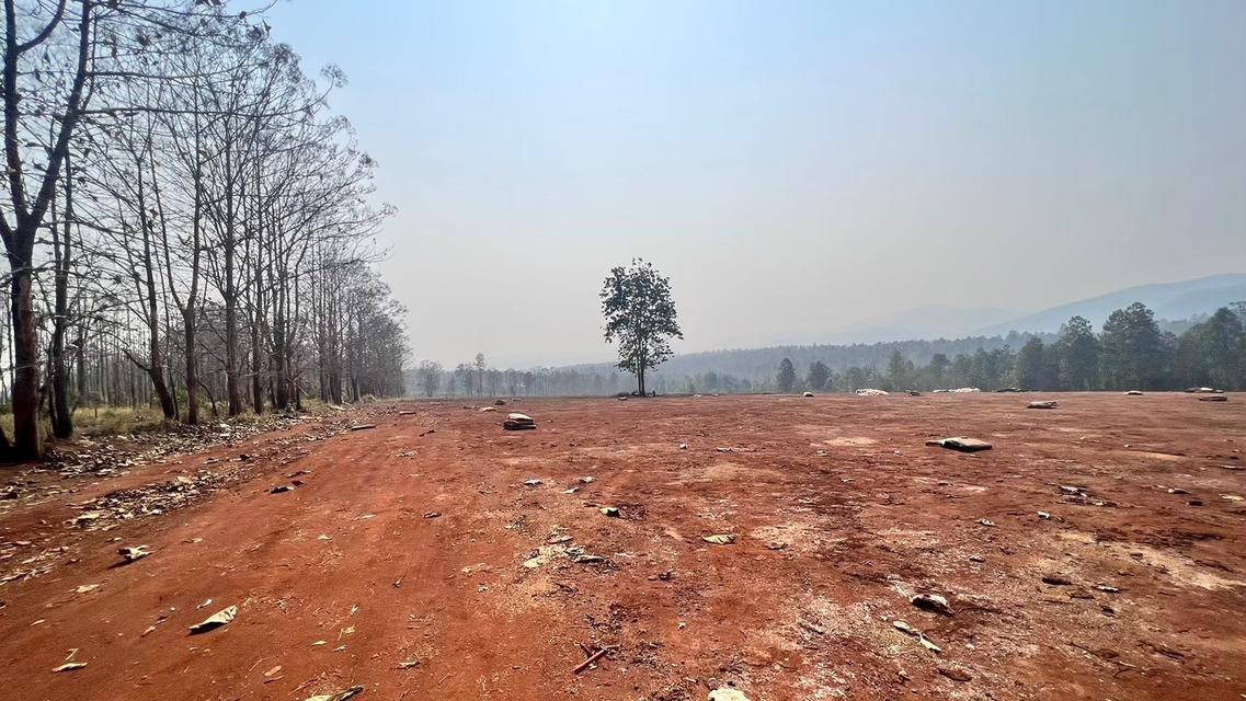 ที่ดินเชียงใหม่แม่แตง 3