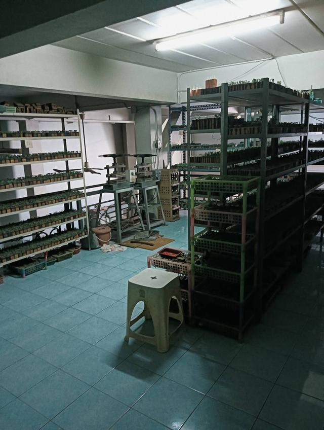 ขายอาคารพาณิชย์ 64 ตร.วา 3.5 ชั้น พระราม 2 ซอยสะแกงาม 35/1 พื้นที่ใหญ่ต่อเติมใหม่ เหมาะทำธุรกิจ 6