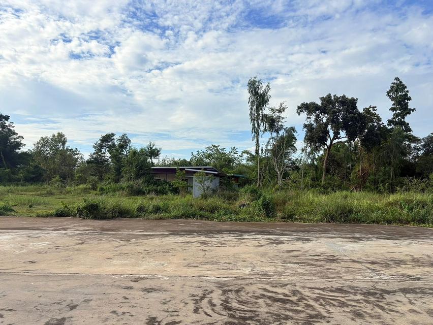 ขายบ้านพร้อมที่ดินทำเลดีติดถนน 8
