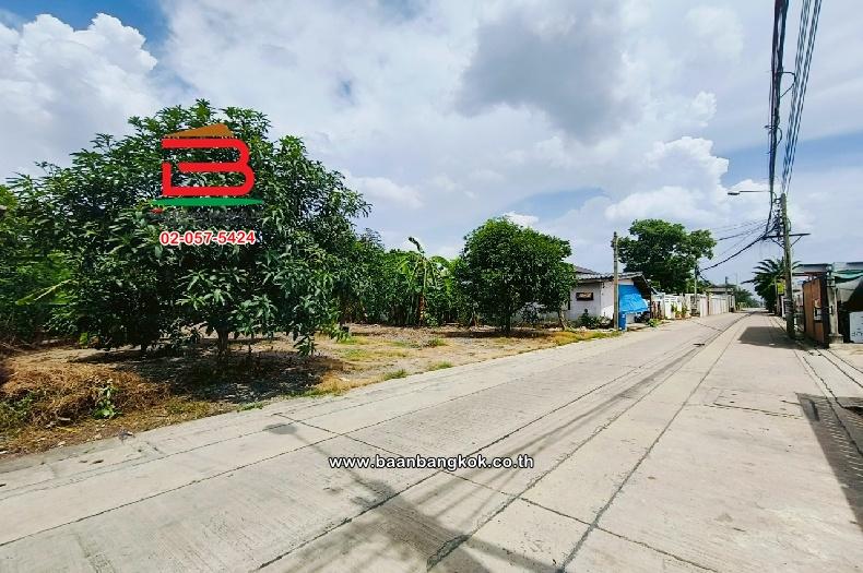ขาย/เช่า ที่ดินเปล่า เลี่ยงเมืองปากเกร็ด 41 เนื้อที่ 149 ตร.ว (ใกล้โรงเรียนชลประทานวิทยา) ตำบลบางตลาด อำเภอปากเกร็ด จังหวัดนนทบุรี 3