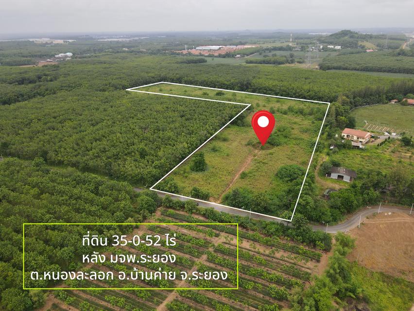 ขายที่ดิน ทำเลทอง ใจกลางนิคมฯ ระยอง 35-0-52 ไร่ 3