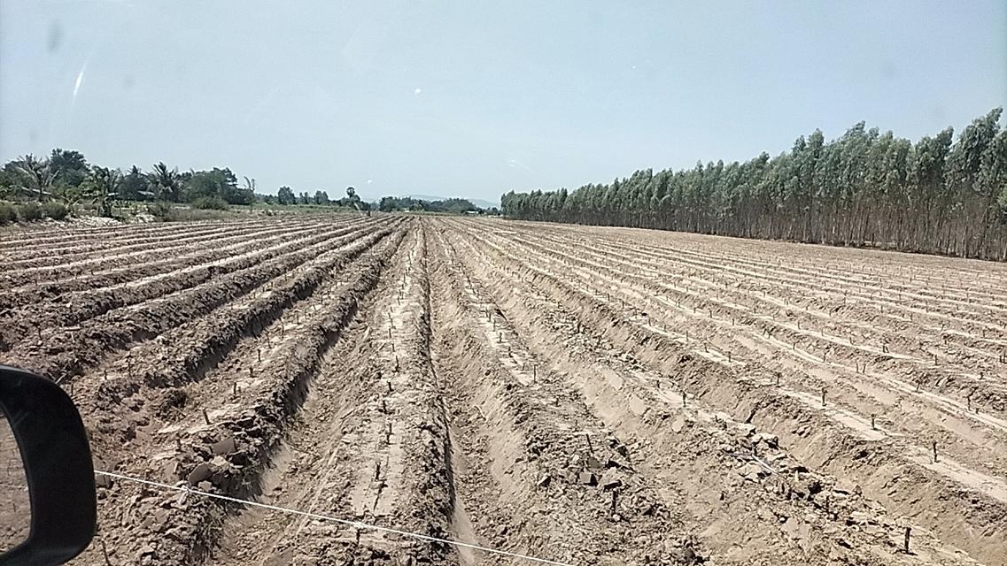 ที่ดิน20ไร่ติดคลองชลประทานติดถนนเพาะปลูกได้ใกล้กรุงเทพห่างจากมอเตอร์เวย์บางใหญ่กาญจนบุรี 10 กิโลเมตร 1