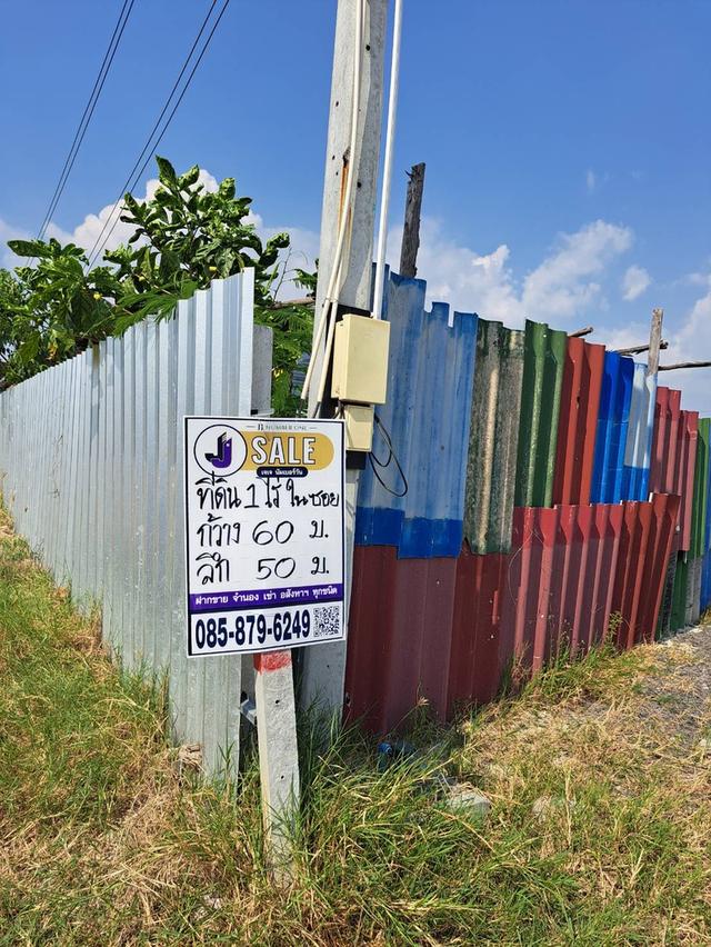 ขายด่วนที่ดินทำเลดี ศรีราชา จังหวัดชลบุรี 3