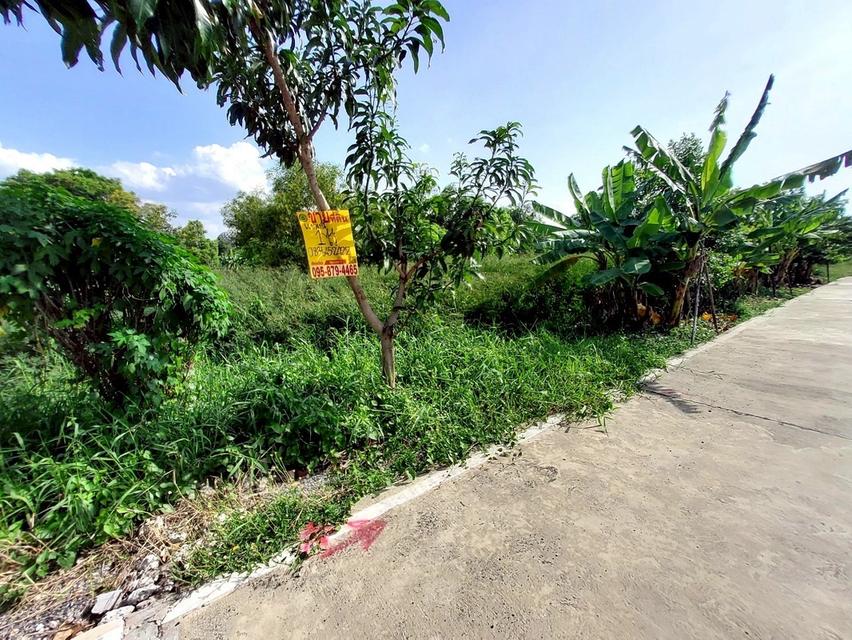 ที่พิน 9