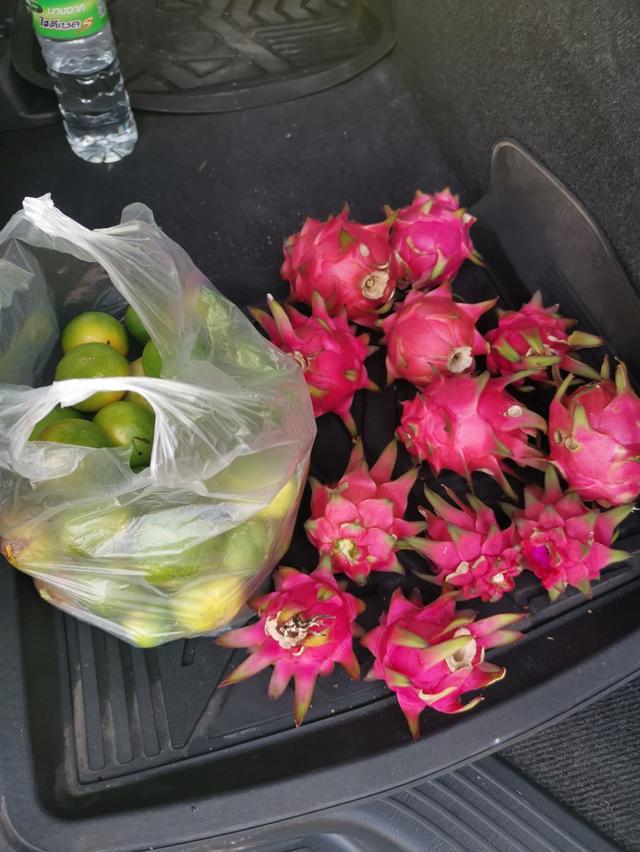บ้านติดถนน 2 ด้าน พื้นที่ 200 ตร.วา เจ้าของขายเอง 14