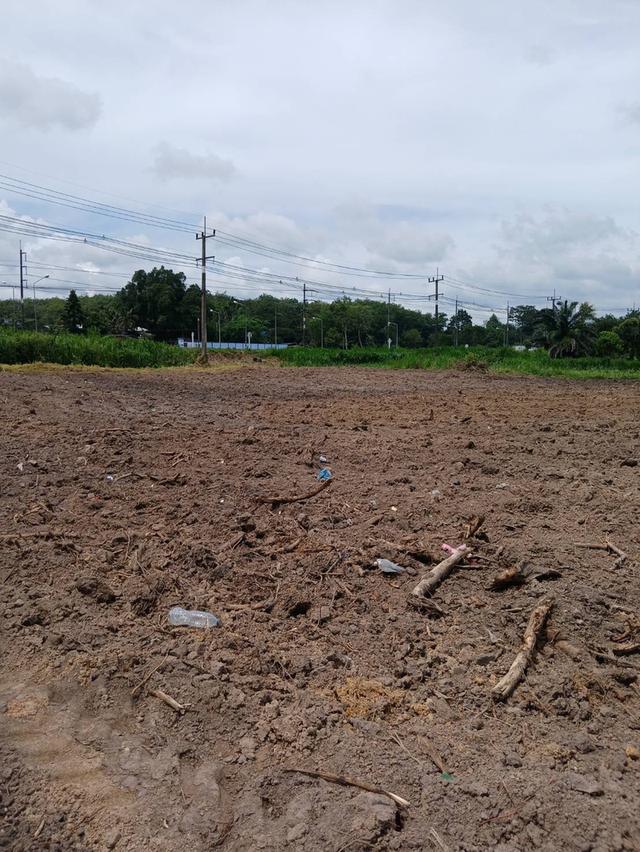ที่ดินทำเลทอง ติดถนนใหญ่เพชรเกษม 3
