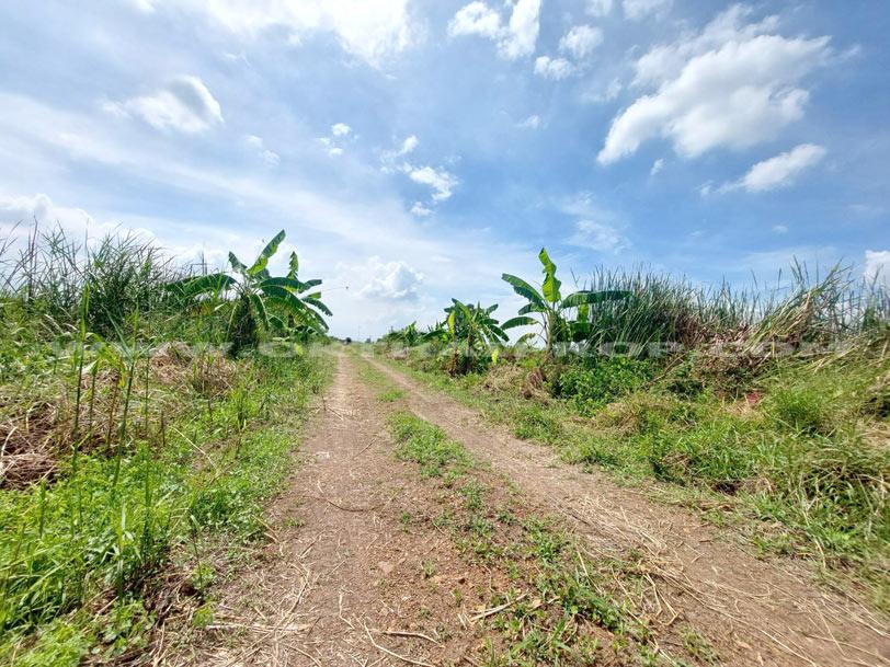 ที่ดินจัดสรรล็อคที่ 21 ถ.346 ต.หน้าไม้ อ.ลาดหลุมแก้ว จ.ปทุมธานี 6