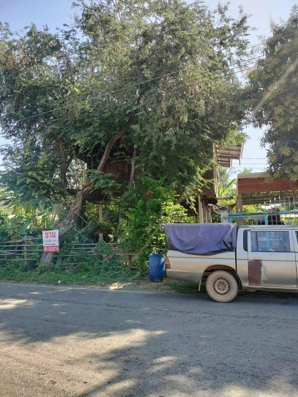 ขายด่วน! (บ้าน 2 ชั้น/ใต้ถุนโล่ง) พร้อมที่ดิน ติดถนนดำ อำเภอลาดยาว นครสวรรค์ โทร 092-6869618 2