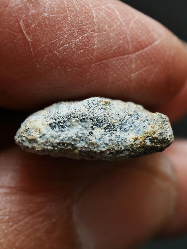 พระปิลันท์ ครอบแก้วเล็ก วัดระฆัง...เก่า เดิมๆ รูปที่ 11