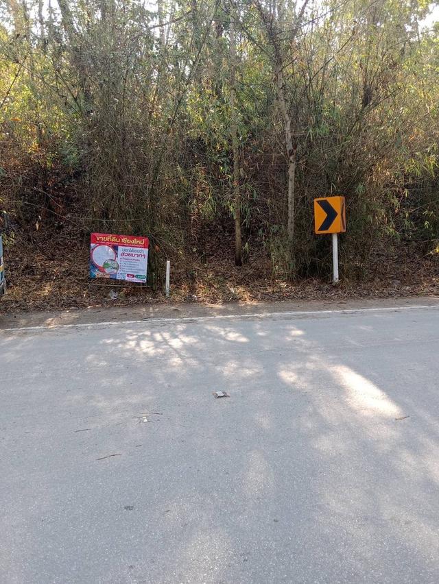 ขายที่ดินเชียงใหม่พร้อมสร้างบ้าน 14