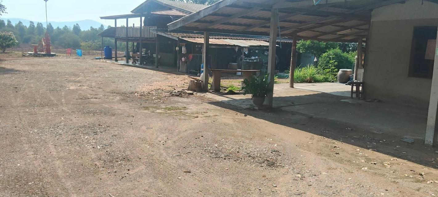 ขายบ้านและที่ดินพร้อมเข้าอยู่ 2